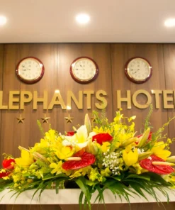 Alternative view of Elephants hotel